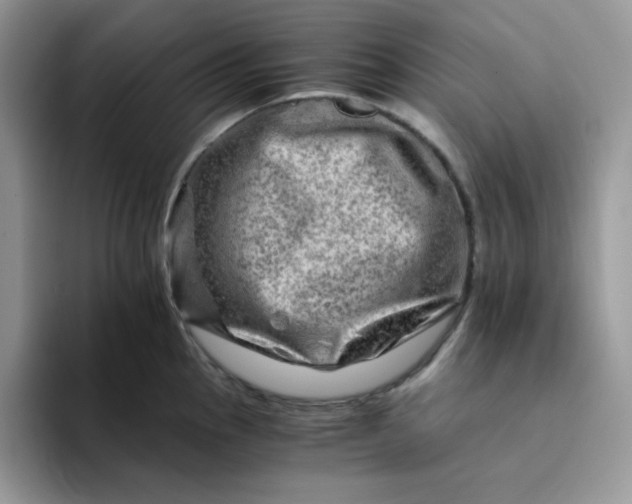 X0000094201145200711091214