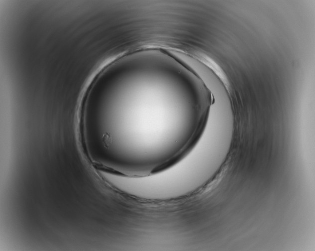 X0000094201146200711091214