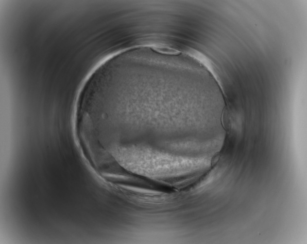 X0000094201147200711091214