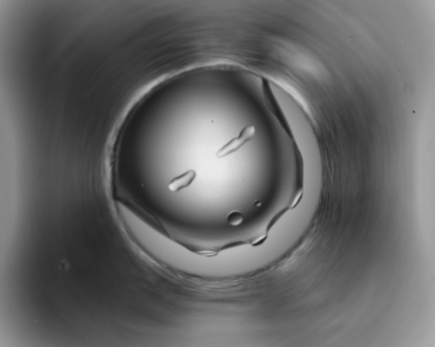 X0000094201151200711091214