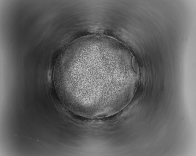 X0000094201154200711091214