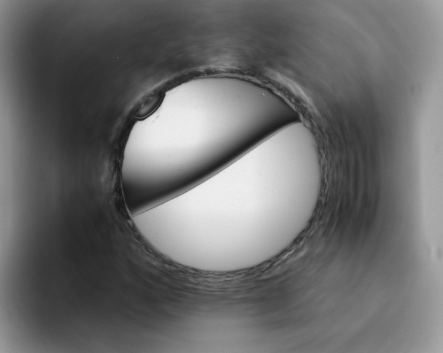 X0000094201160200711091214