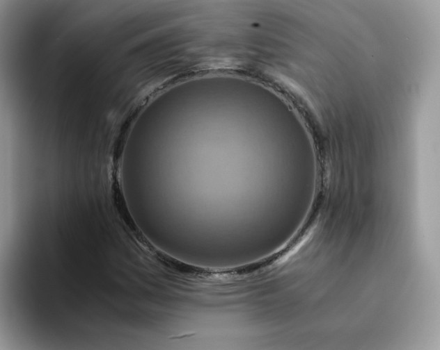 X0000094201161200711091214