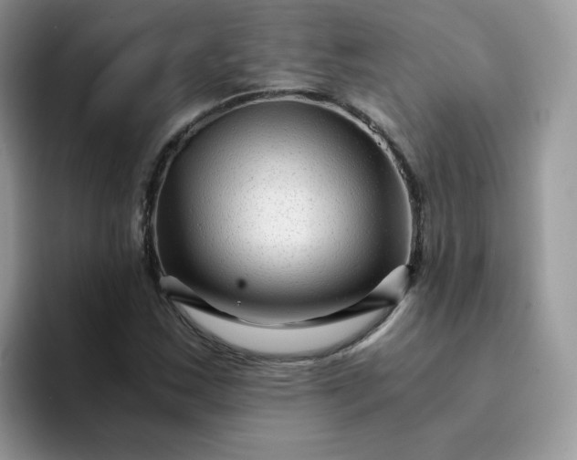 X0000094201163200711091214