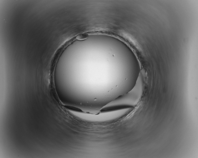 X0000094201165200711091214