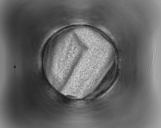 X0000094201167200711091214