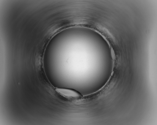 X0000094201169200711091214