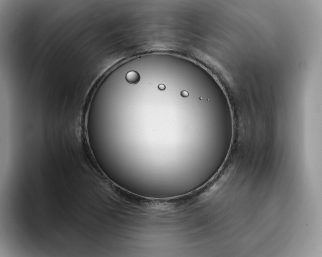 X0000094201170200711091214