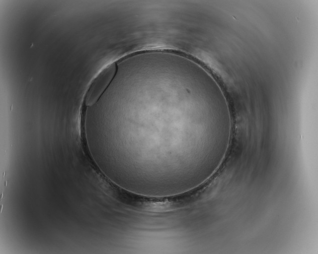 X0000094201173200711091214