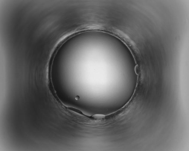 X0000094201174200711091214