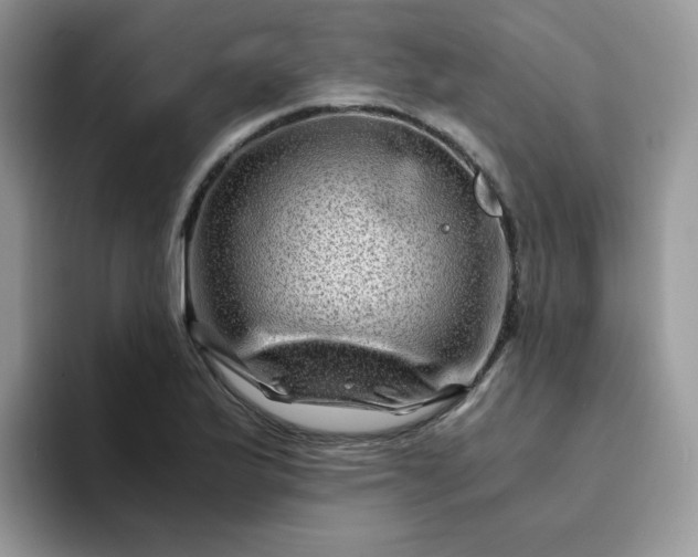 X0000094201175200711091214