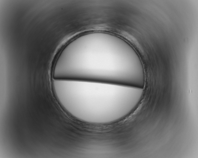 X0000094201176200711091214