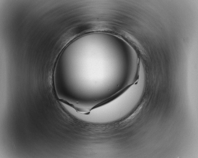 X0000094201177200711091214