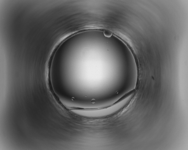 X0000094201179200711091214