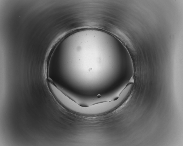 X0000094201180200711091214