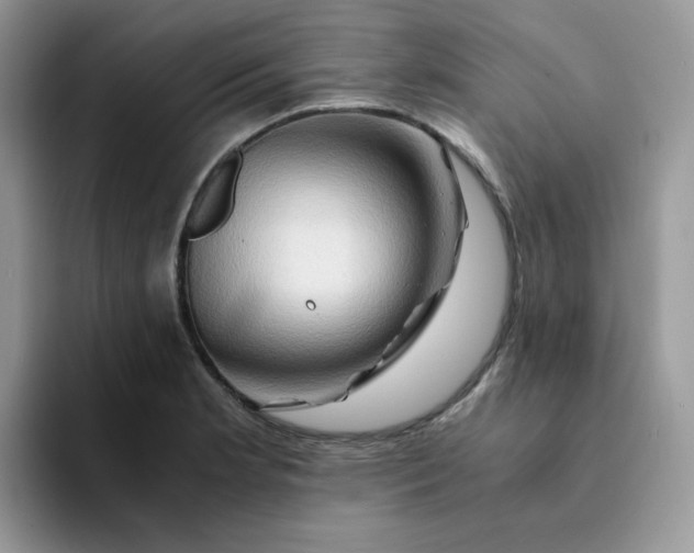 X0000094201181200711091214