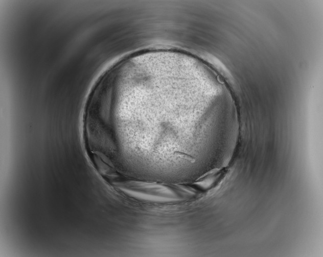 X0000094201183200711091214