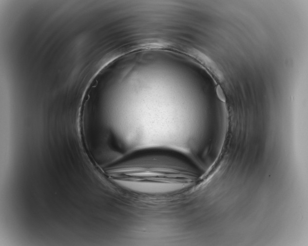 X0000094201186200711091214