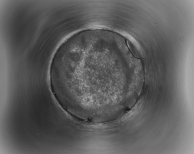 X0000094201191200711091213