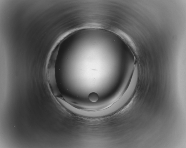 X0000094201192200711091213