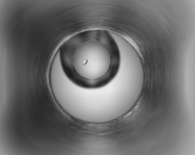 X0000094201197200711091213