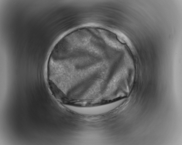 X0000094201199200711091213