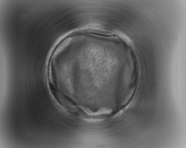 X0000094201200200711091213