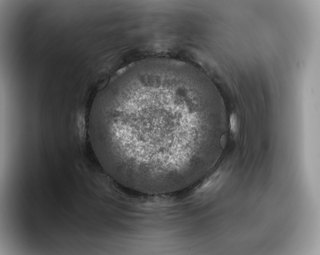 X0000094201203200711091213