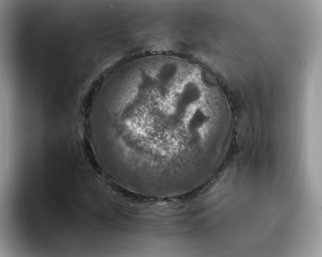 X0000094201207200711091213