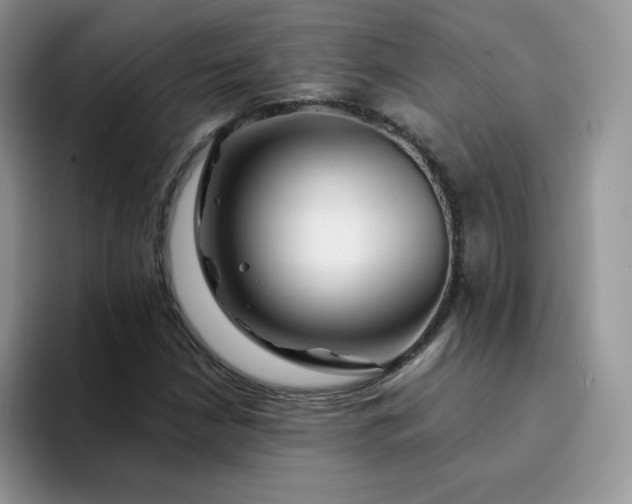 X0000094201210200711091213