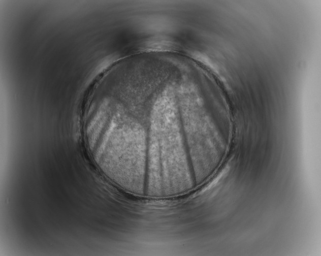 X0000094201211200711091213