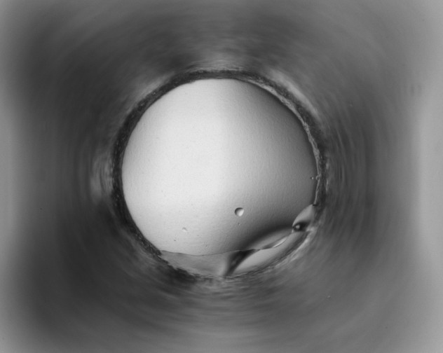 X0000094201213200711091213