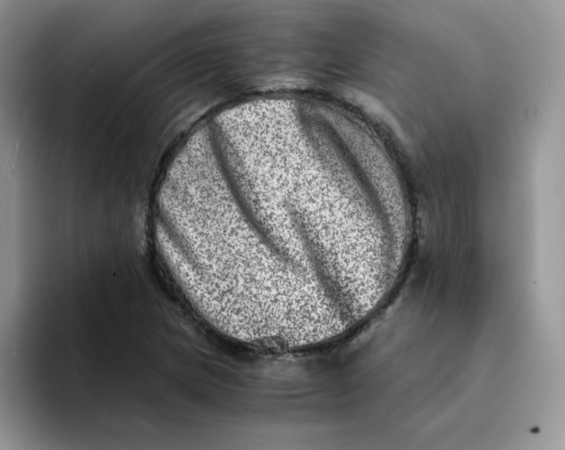 X0000094201217200711091213