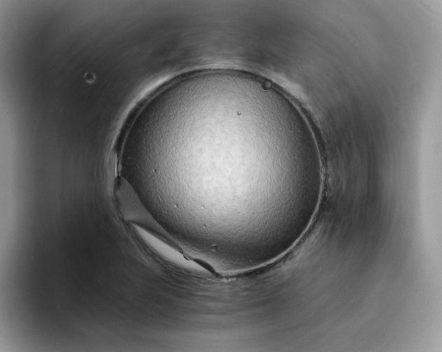 X0000094201223200711091213