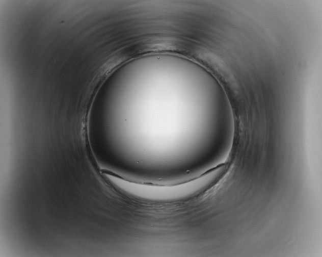 X0000094201225200711091213