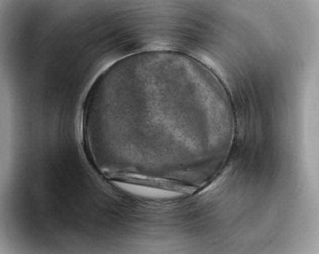 X0000094201227200711091213