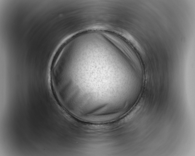 X0000094201232200711091213