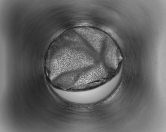 X0000094201233200711091213