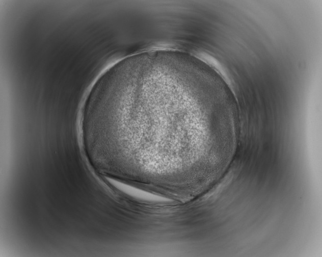 X0000094201235200711091213