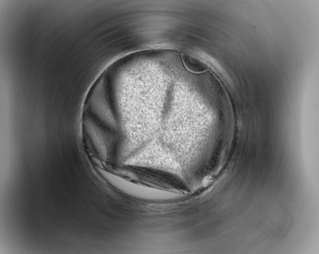 X0000094201236200711091213