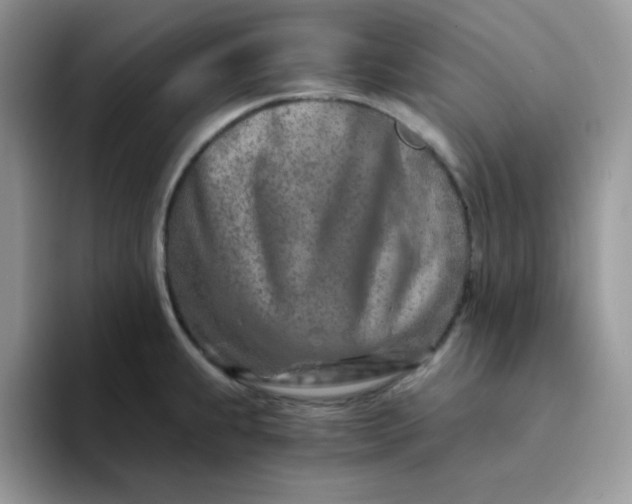 X0000094201239200711091213