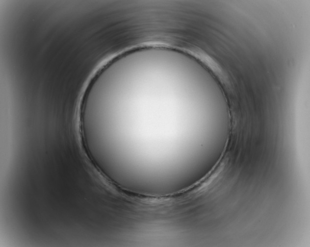 X0000094201240200711091213