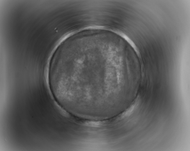 X0000094201245200711091213