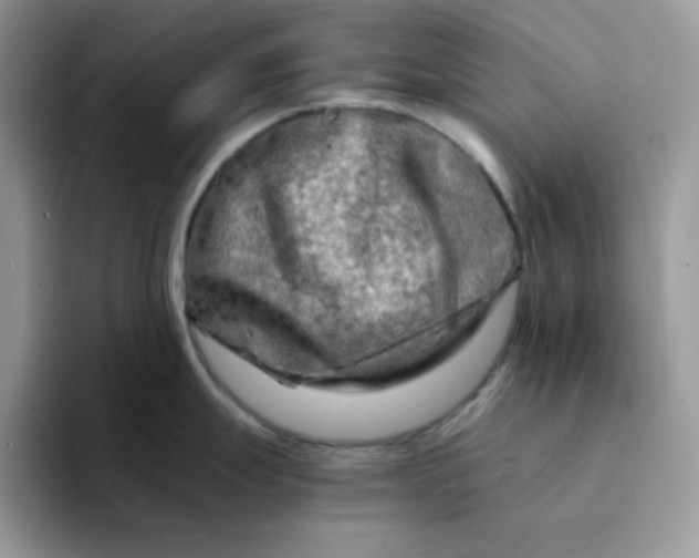 X0000094201247200711091213