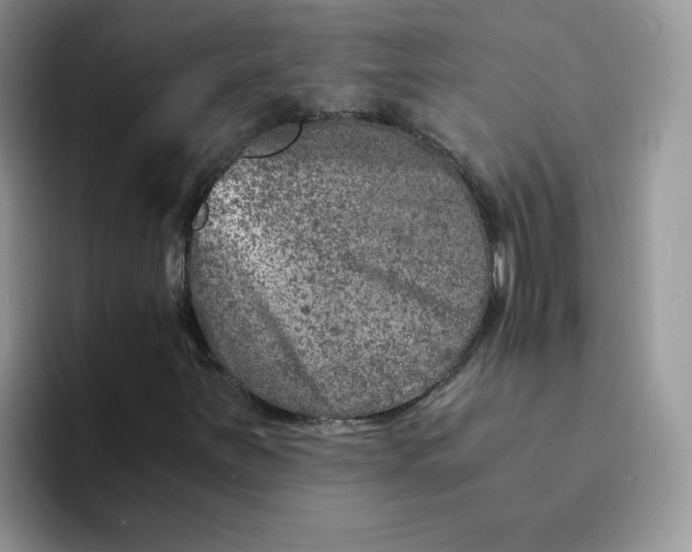 X0000094201251200711091213