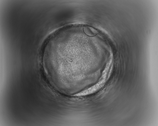 X0000094201255200711091213