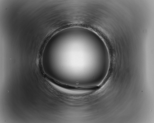 X0000094201257200711091213