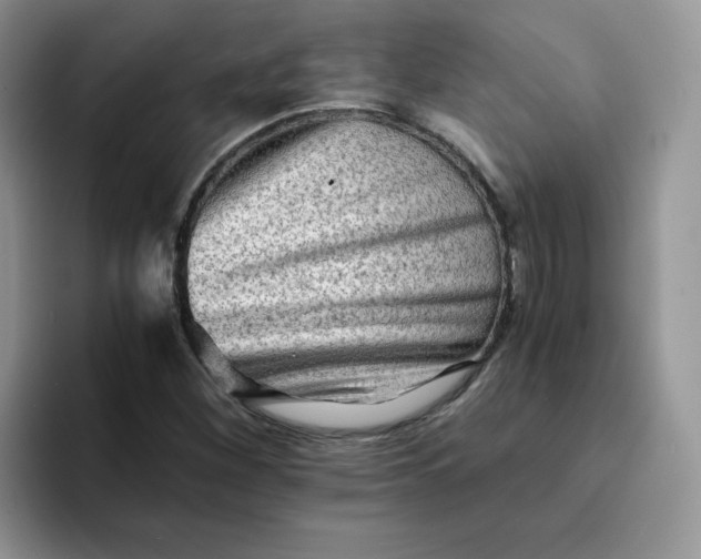 X0000094201260200711091213