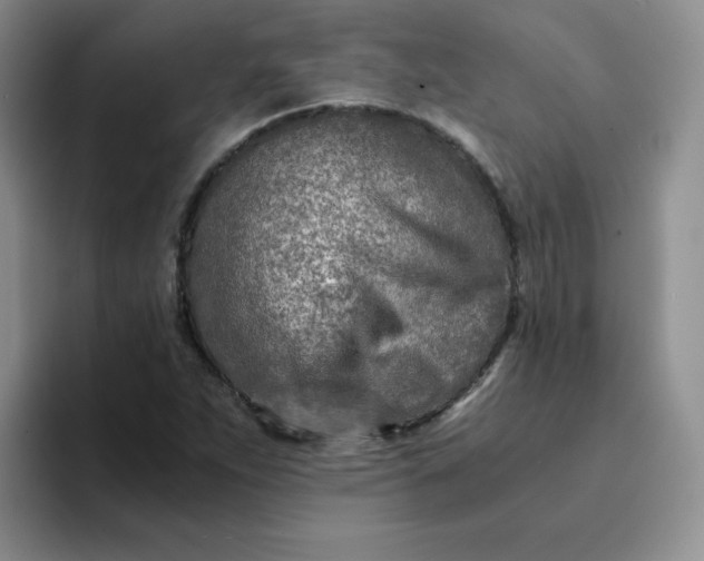 X0000094201263200711091213