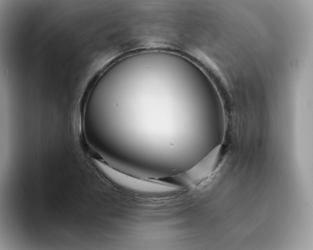 X0000094201269200711091213